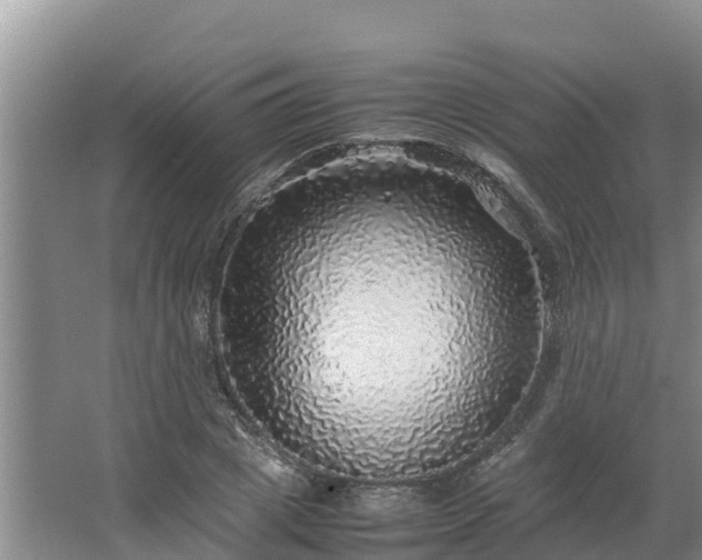 X0000067380833200604071725