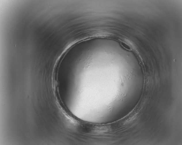 X0000067380843200604071725