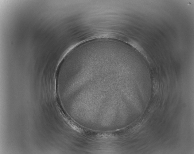 X0000067380886200604071725