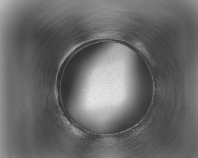 X0000067380888200604071725