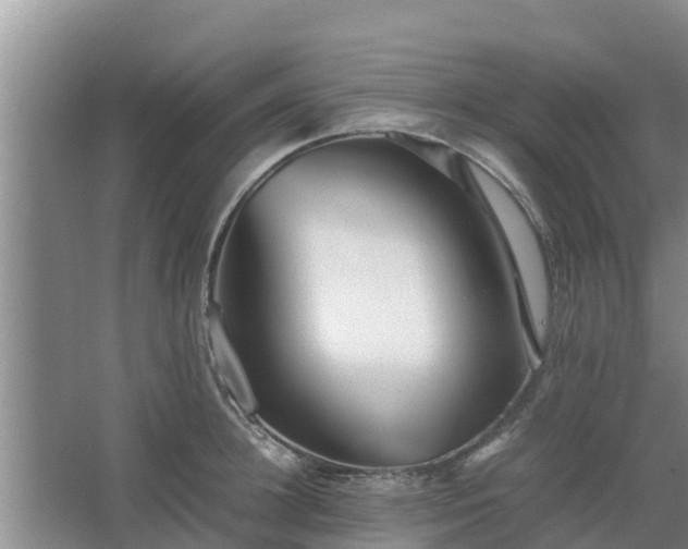 X0000067380948200604071724