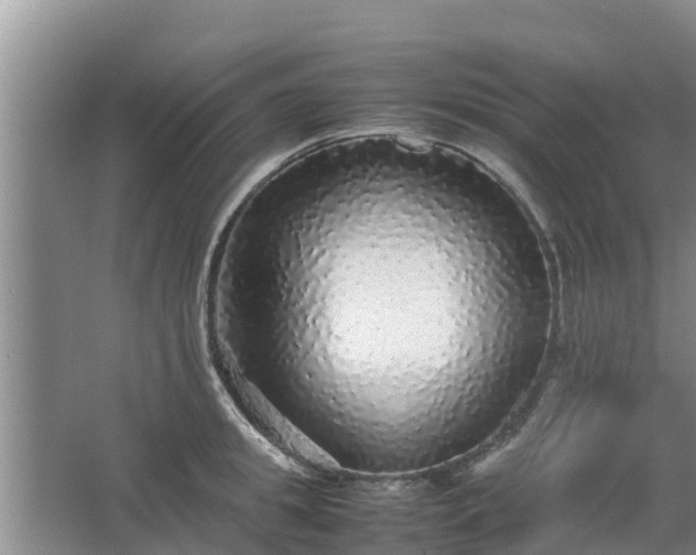 X0000067380949200604071724