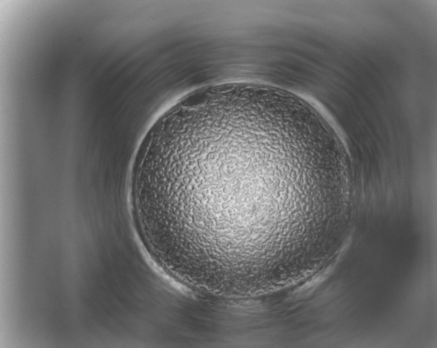 X0000067380957200604071724