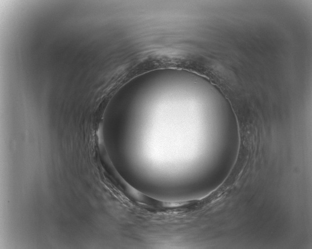 X0000067381061200604071722