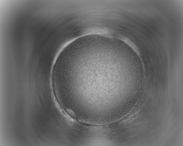 X0000067381104200604071721