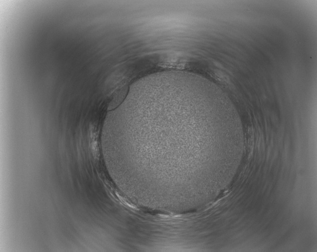 X0000067381154200604071720