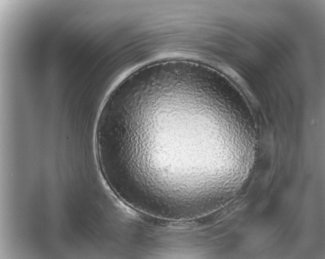 X0000067381199200604071719