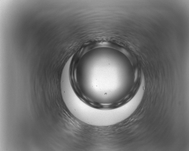 X0000067381202200604071719