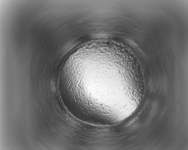 X0000067381209200604071719