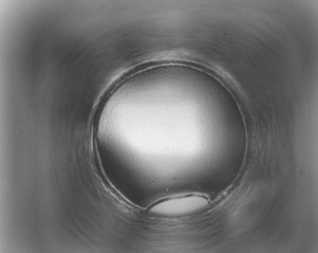 X0000067381224200604071719