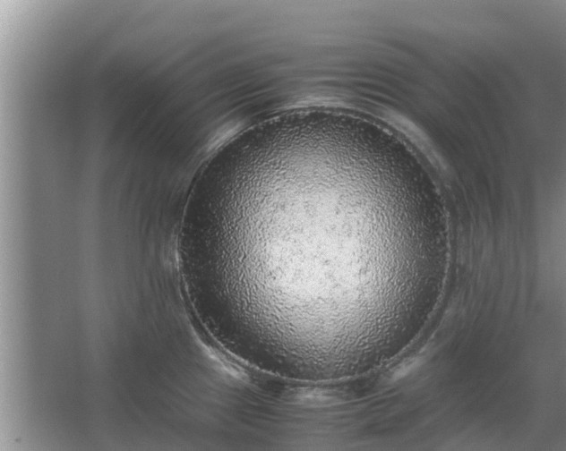 X0000067381241200604071719