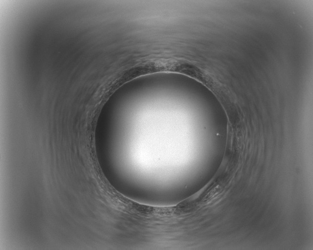 X0000067381249200604071718