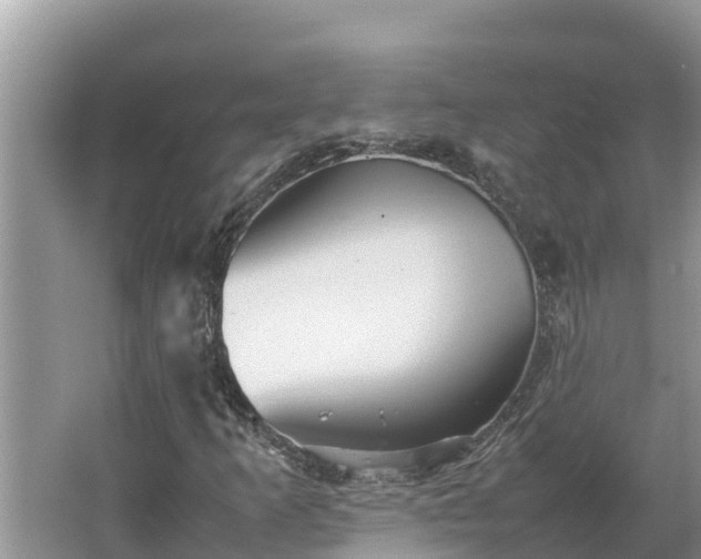 X0000067381253200604071718