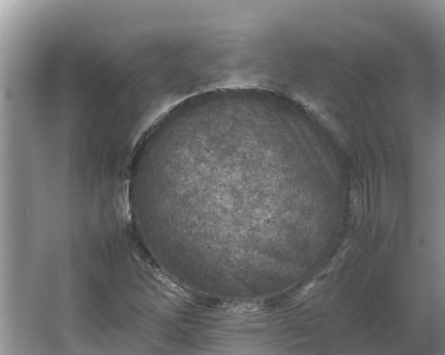X0000067381262200604071718