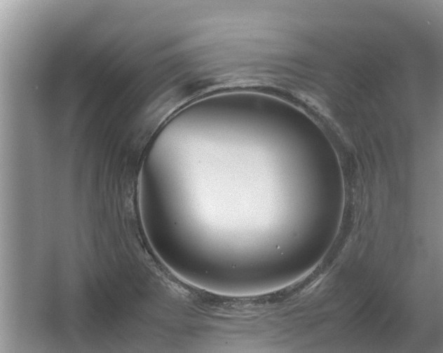 X0000067381273200604071718