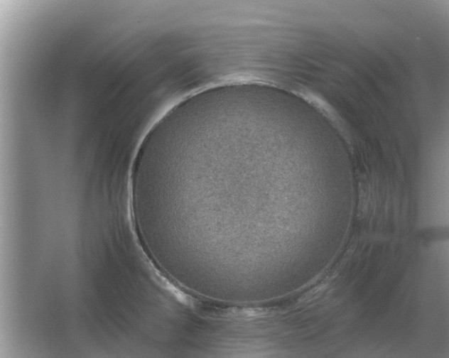 X0000067381286200604071718