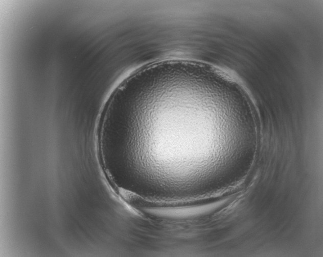 X0000067381341200604071718