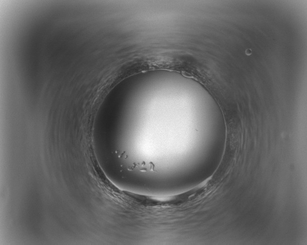 X0000067381345200604071717