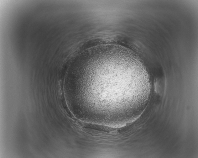 X0000067381347200604071717