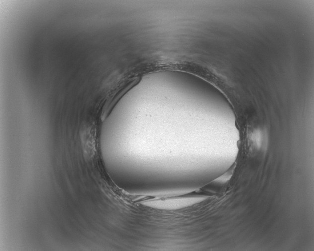 X0000067381348200604071717