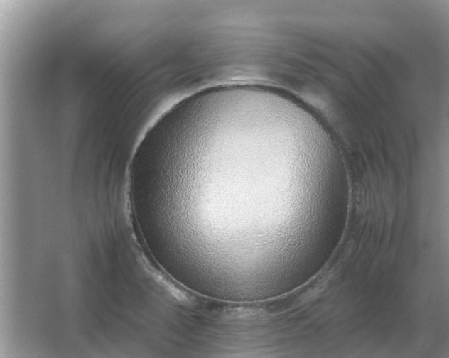 X0000067381374200604071716