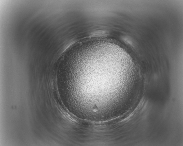 X0000067381401200604071715