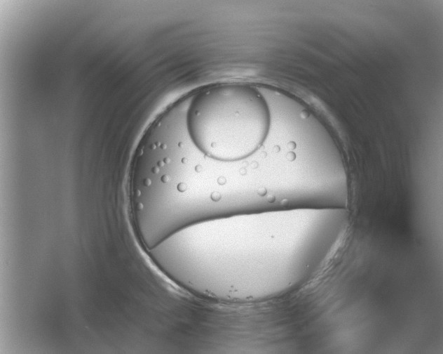 X0000067381432200604071716