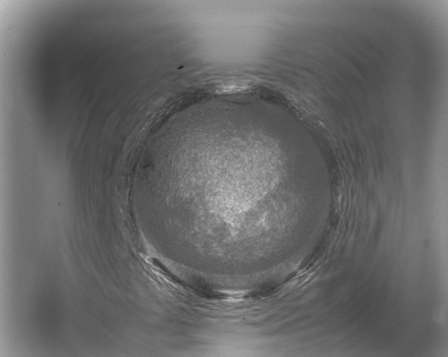 X0000067381441200604071715