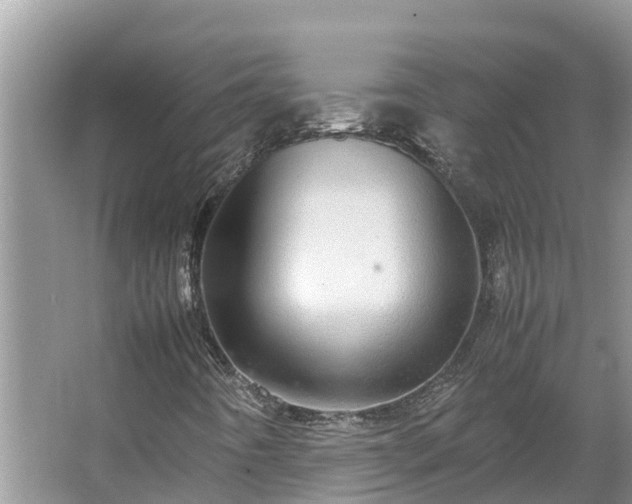 X0000067381442200604071715