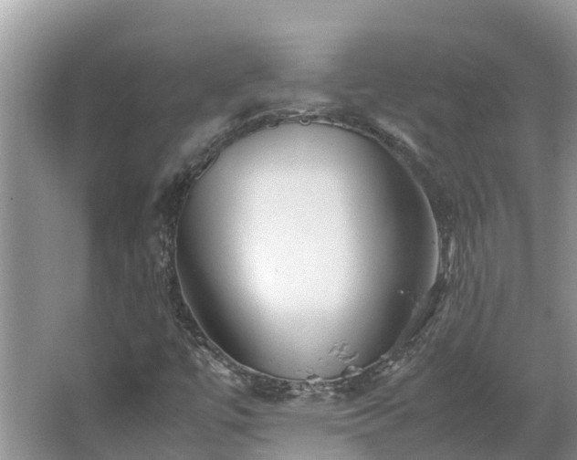 X0000067381447200604071715