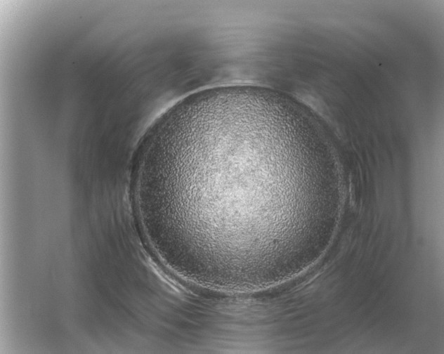X0000067381452200604071715