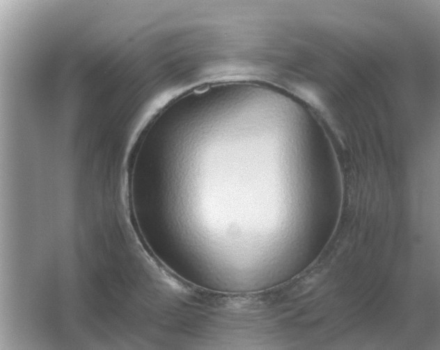 X0000067381472200604071715