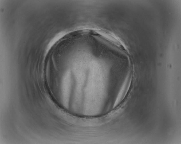 X0000067380008200604131918