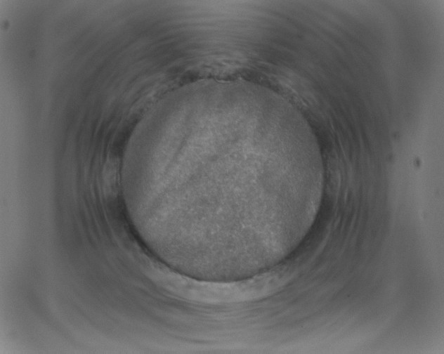 X0000067380034200604131918