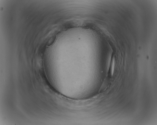 X0000067380035200604131918