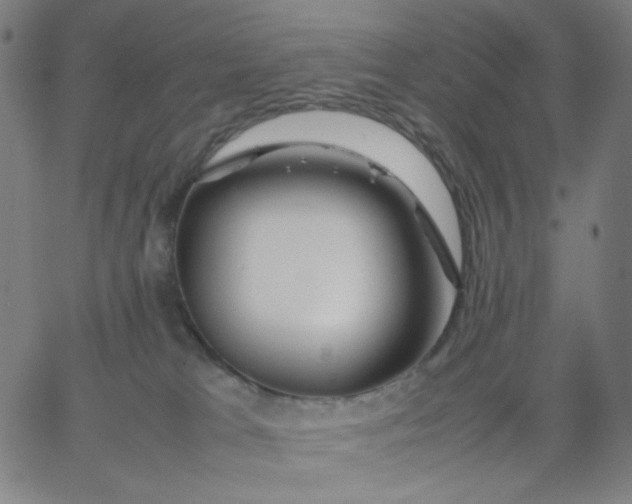 X0000067380037200604131918