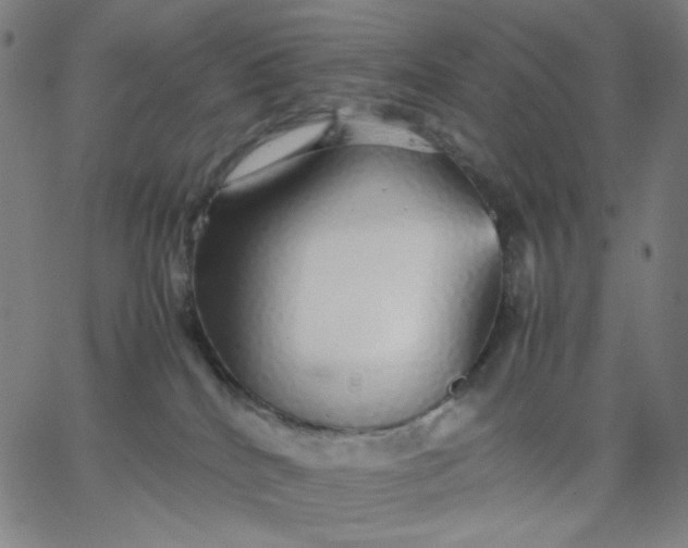 X0000067380040200604131917
