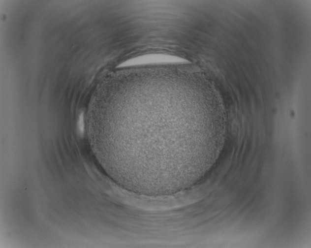 X0000067380042200604131917