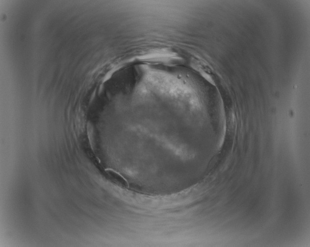 X0000067380043200604131917