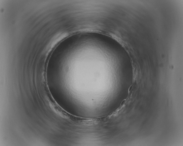 X0000067380050200604131917