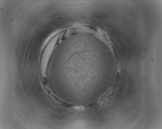 X0000067380052200604131917