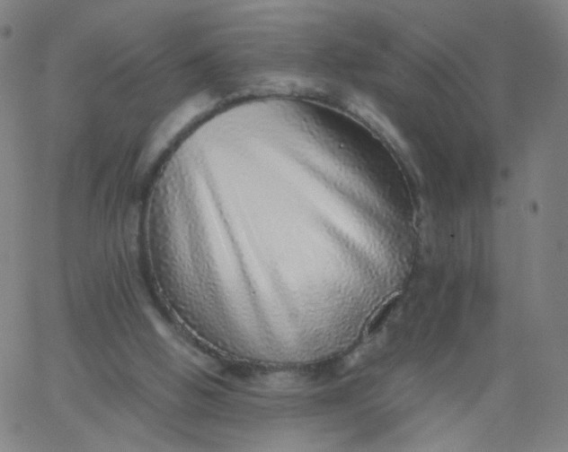 X0000067380058200604131917