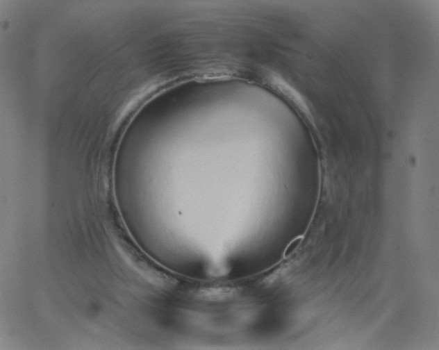 X0000067380059200604131917