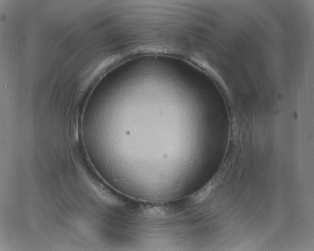 X0000067380062200604131917