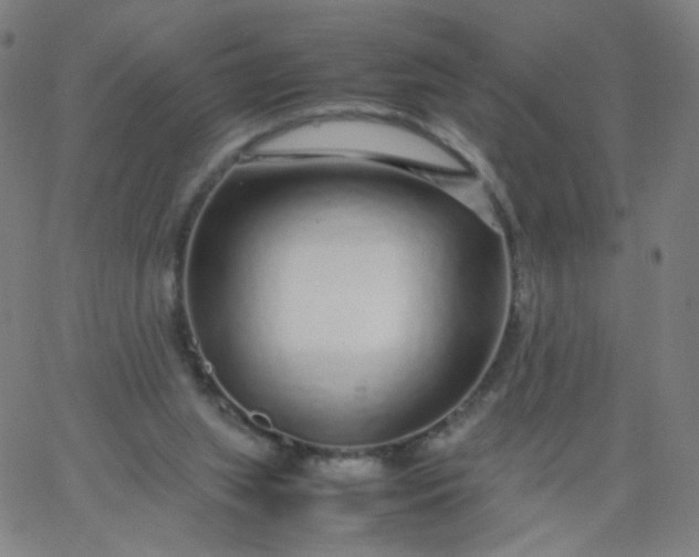 X0000067380063200604131917