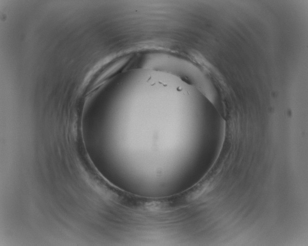 X0000067380064200604131917