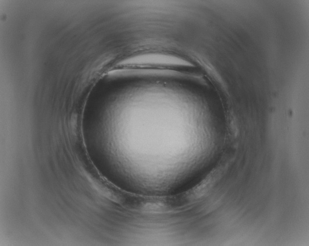 X0000067380066200604131917