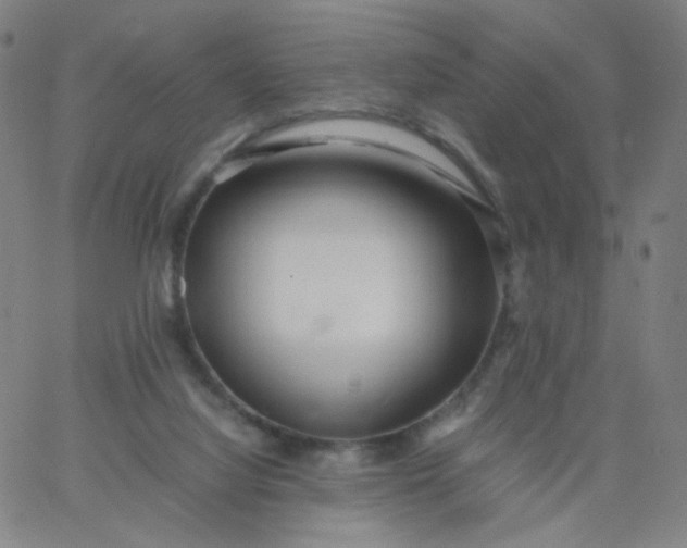 X0000067380068200604131917