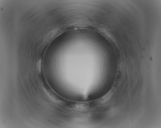 X0000067380070200604131917