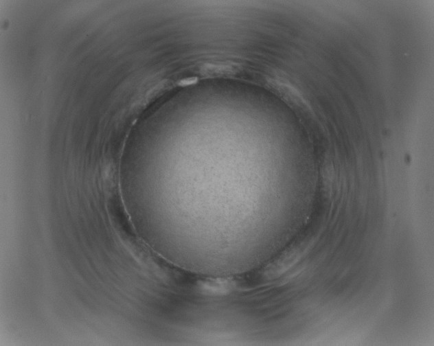 X0000067380079200604131917